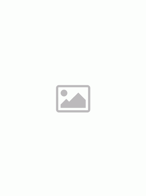 Avast Business Premium Remote Control (1 Concurrent Session)