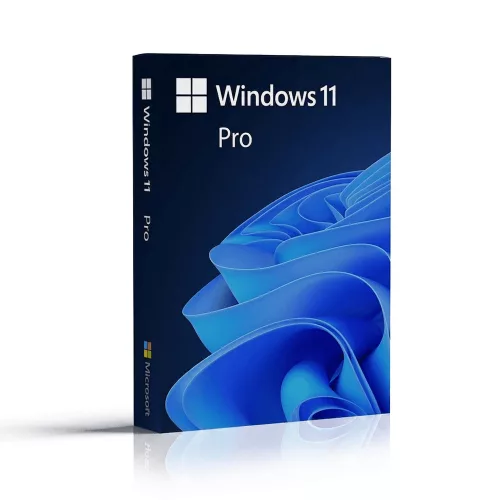 Microsoft Windows 11 Pro (OEM)