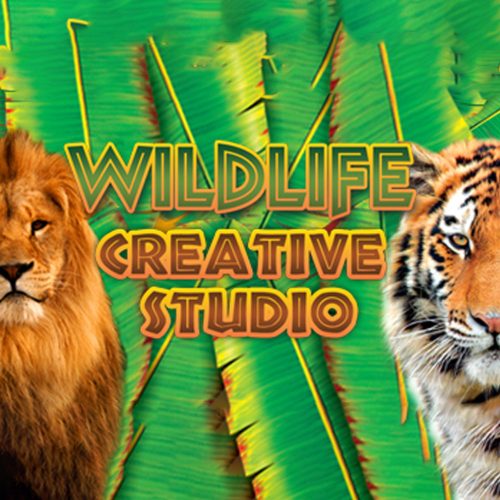 Wildlife Creative Studio (1 dospozitiv / Lifetime) (Steam)