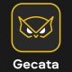 Gecata by Movavi 6 - Streaming and Game Recording Software (1 eszköz / Lifetime) (Steam)