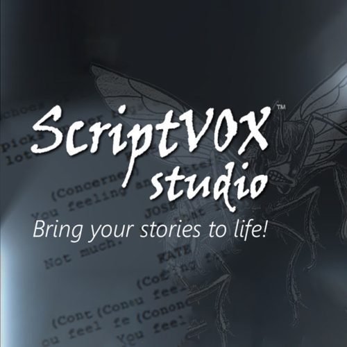 ScriptVOX Studio (1 eszköz / Lifetime) (Steam)