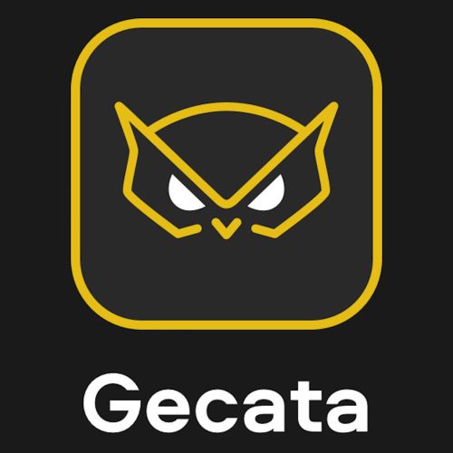 Gecata by Movavi 6 - Streaming and Game Recording Software (1 eszköz / Lifetime)