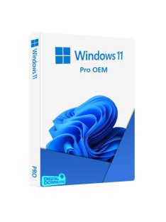 Windows 11 Pro (OEM) digitális licence kulcs  letöltés