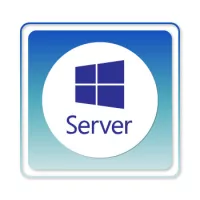 Microsoft Server
